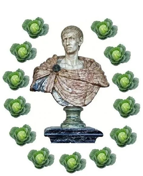   ,