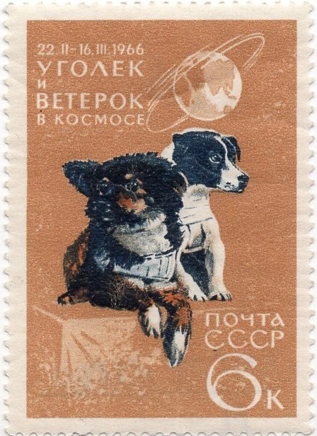 ������� ������ ����,������,������ � �������