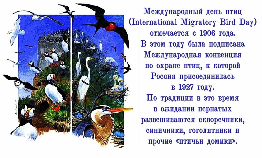 Великая страна СССР,Международный день птиц